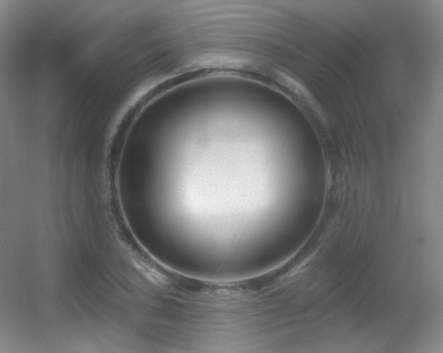 X0000055521027200508121038