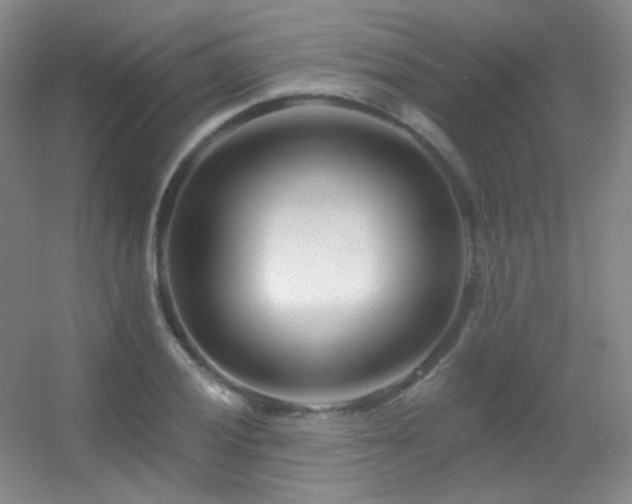 X0000055521028200508121038