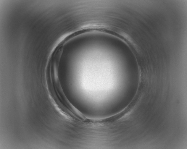 X0000055521030200508121038