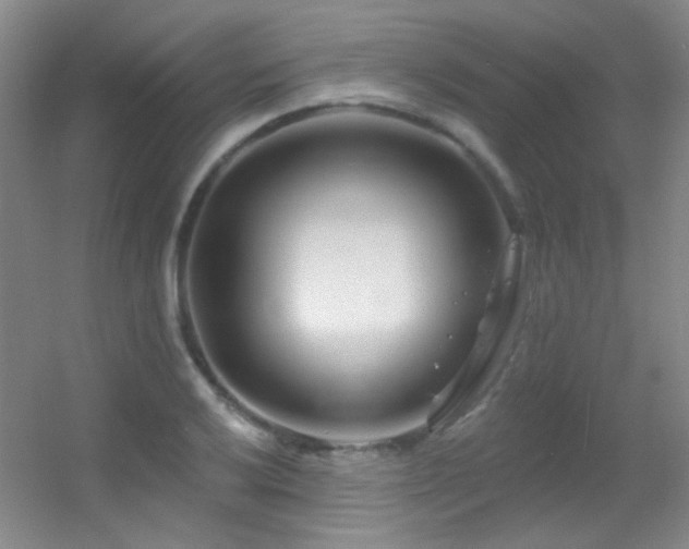 X0000055521032200508121038