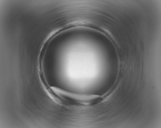 X0000055521034200508121038