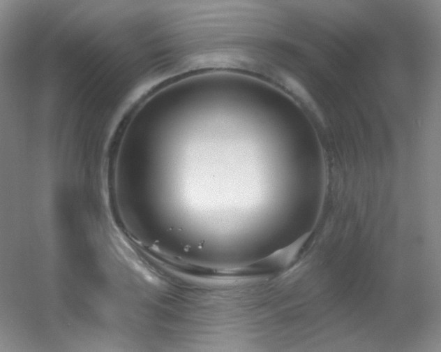 X0000055521035200508121038