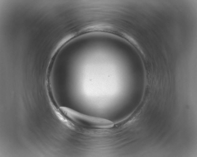 X0000055521042200508121038