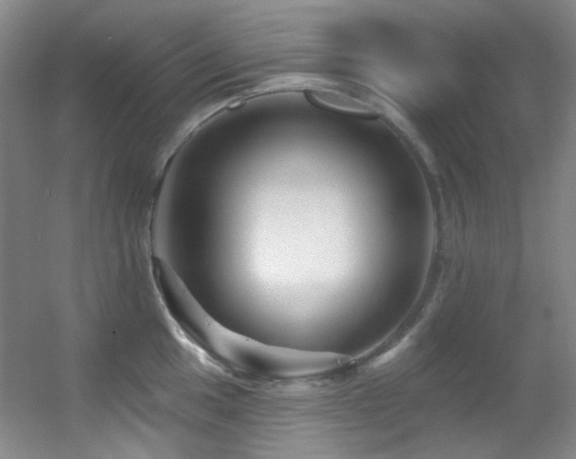 X0000055521049200508121038
