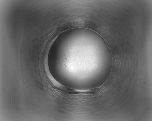 X0000055521057200508121037