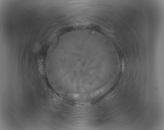 X0000055521059200508121037