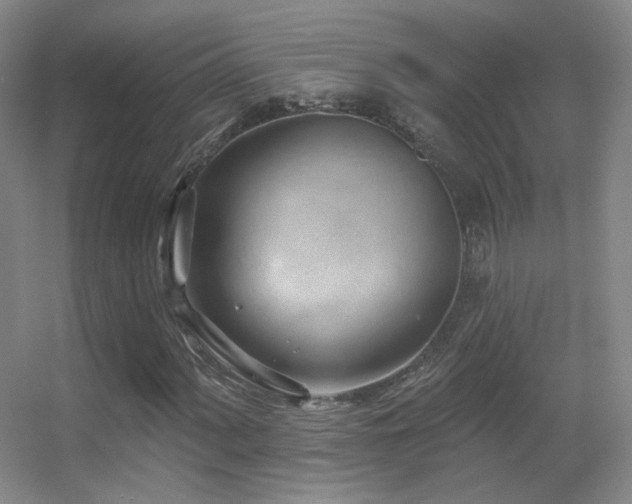 X0000055521060200508121037