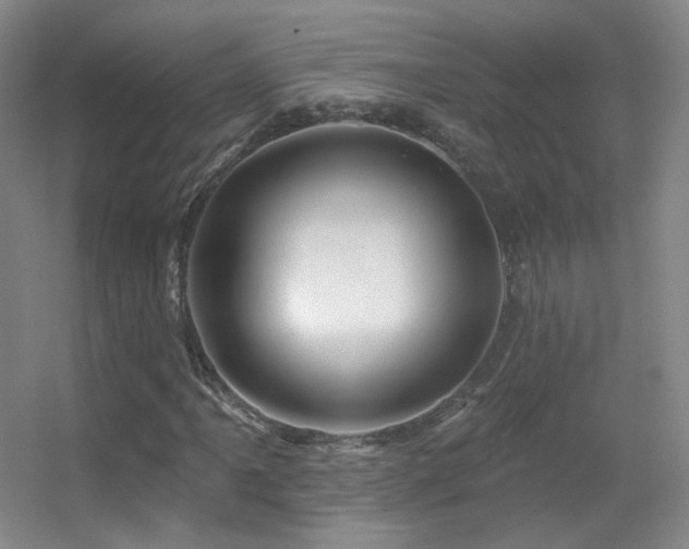 X0000055521061200508121037