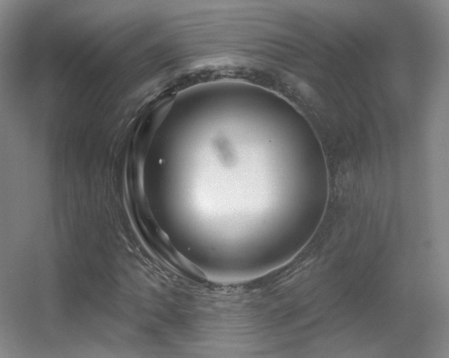 X0000055521062200508121037