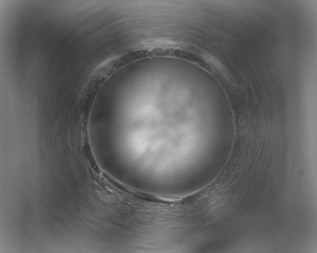 X0000055521063200508121037