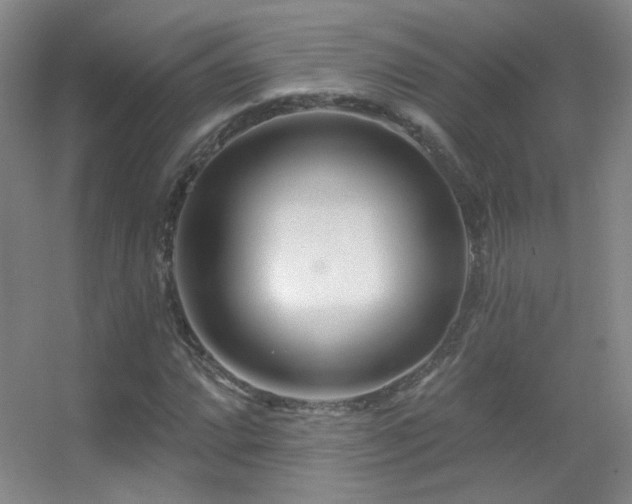 X0000055521064200508121037