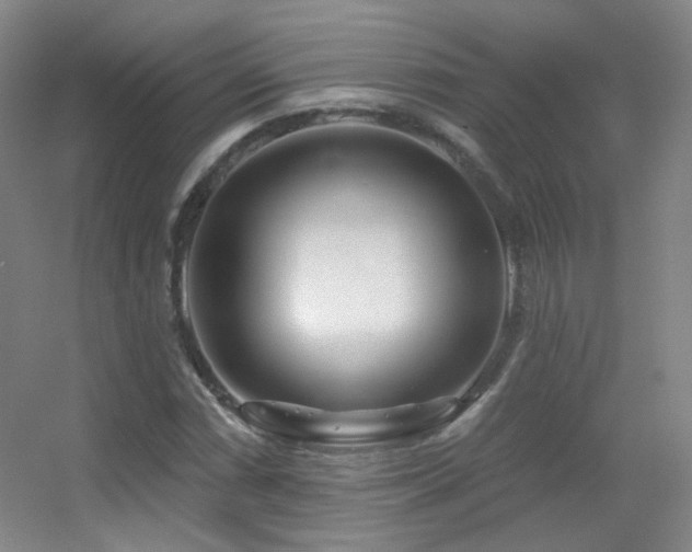 X0000055521066200508121037