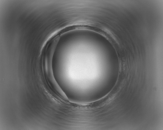 X0000055521069200508121037