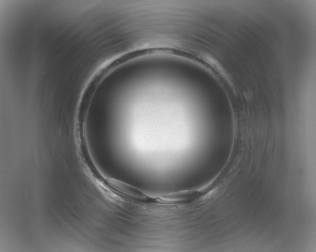 X0000055521072200508121037
