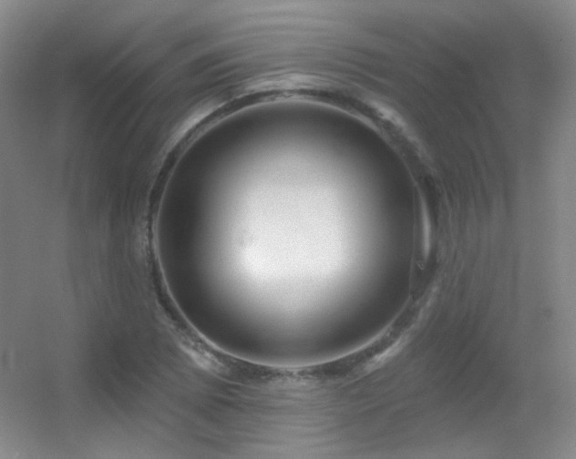 X0000055521073200508121037