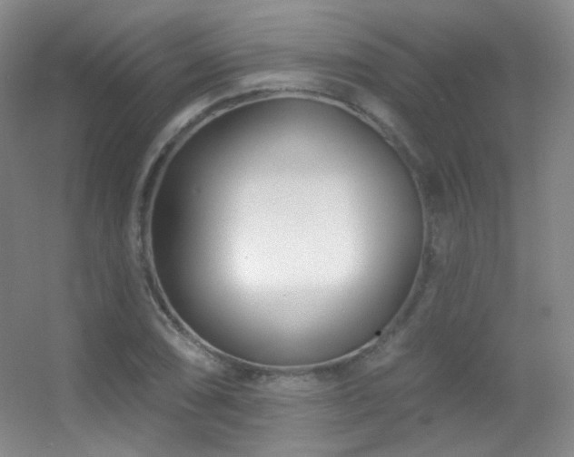 X0000055521074200508121037