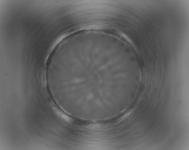X0000055521075200508121037