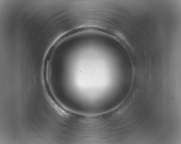 X0000055521076200508121037
