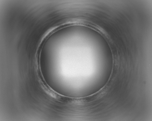 X0000055521078200508121037