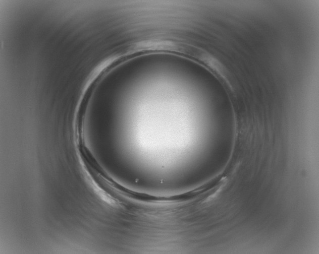 X0000055521082200508121037