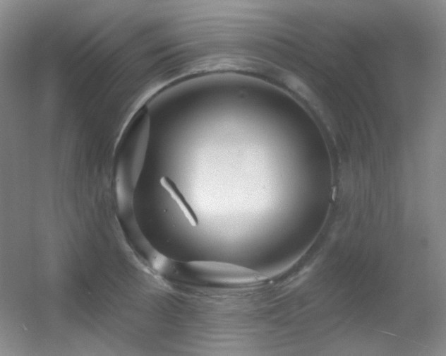 X0000055521089200508121037