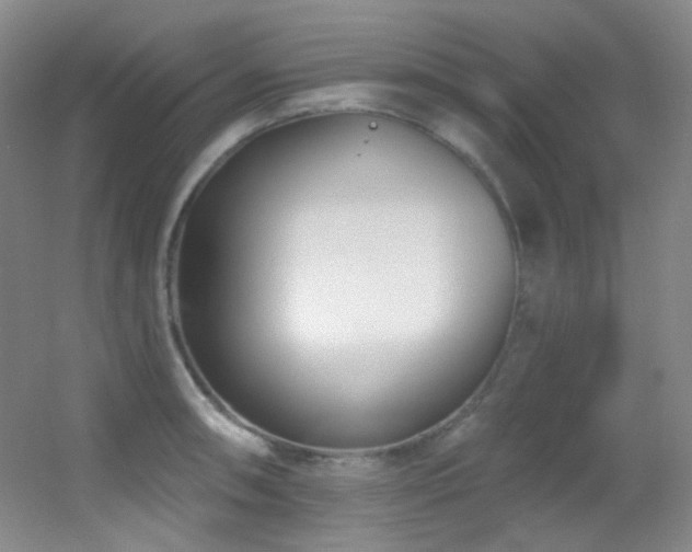 X0000055521090200508121037