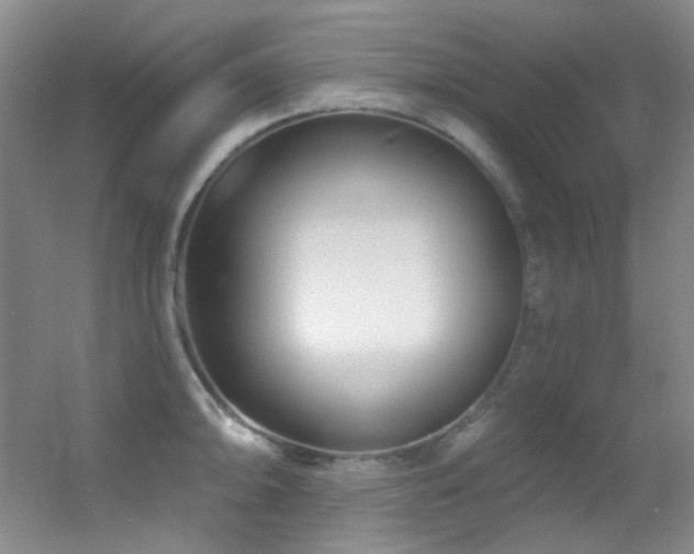 X0000055521094200508121037