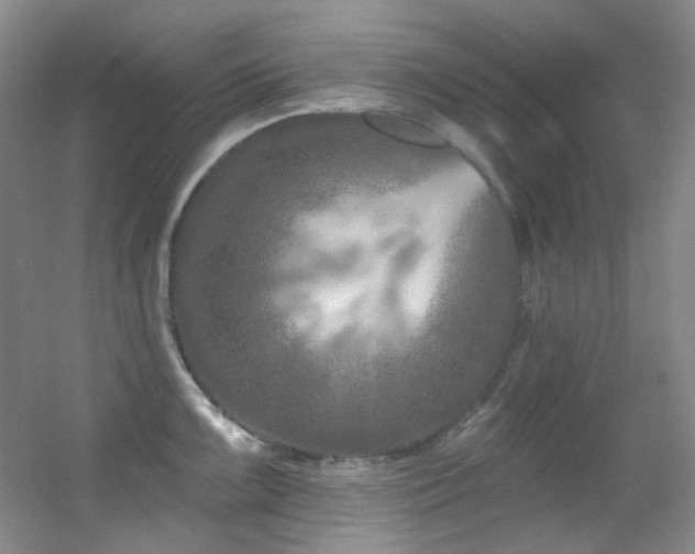 X0000055521099200508121037