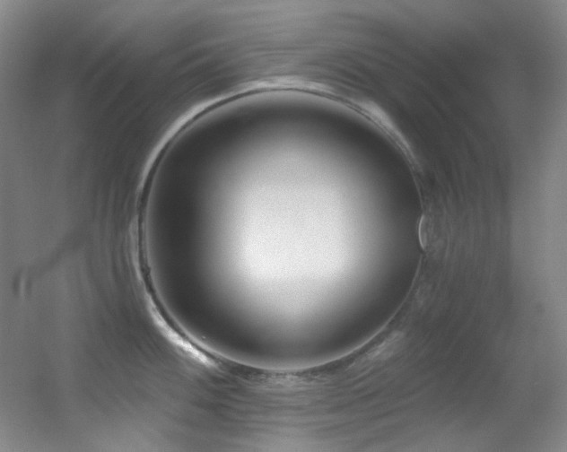 X0000055521100200508121037