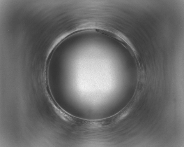X0000055521101200508121037