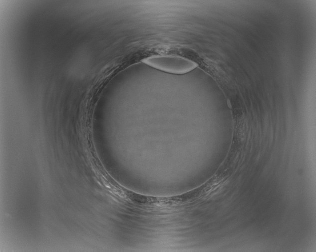X0000055521105200508121036