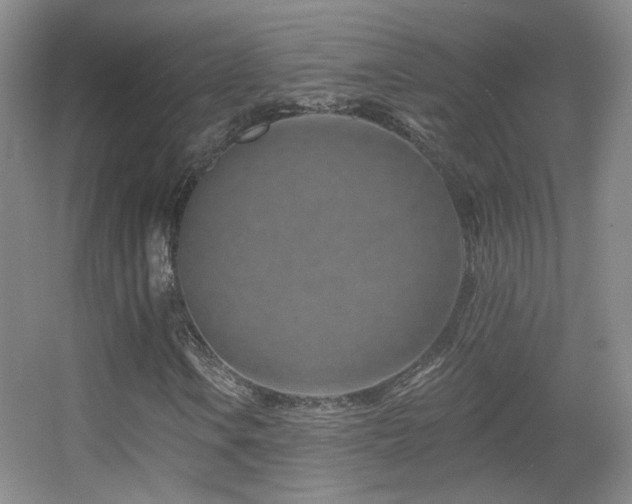 X0000055521106200508121036