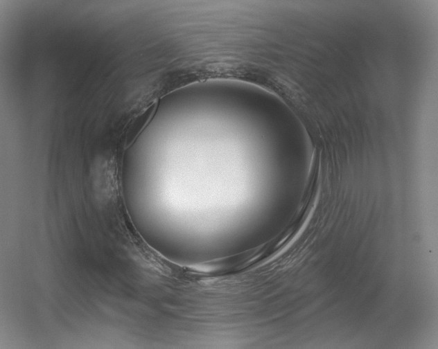 X0000055521107200508121036