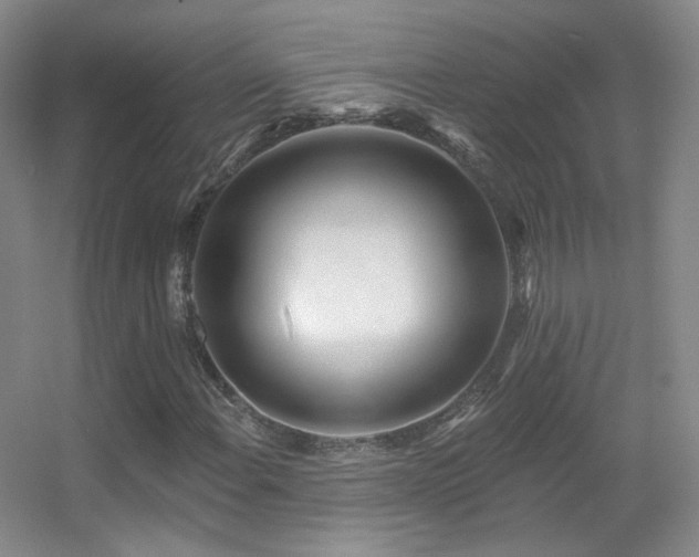 X0000055521108200508121036
