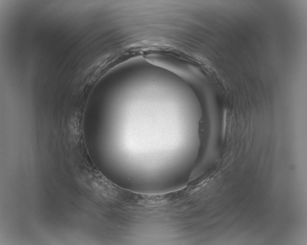 X0000055521110200508121036