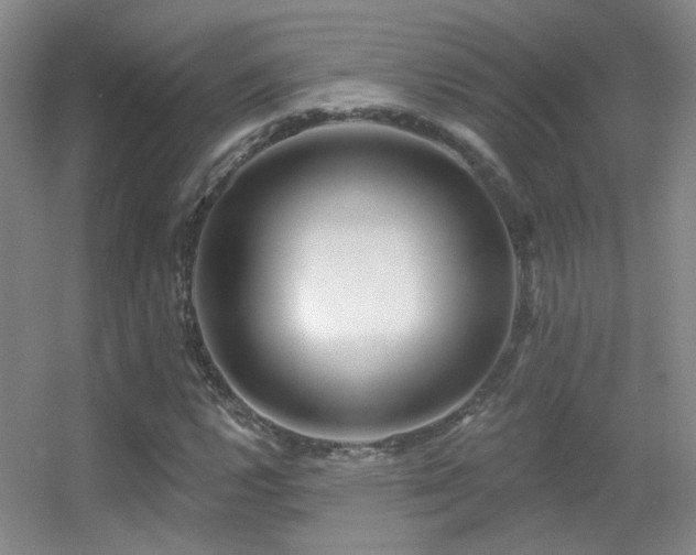 X0000055521112200508121036