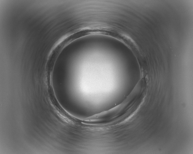 X0000055521114200508121036