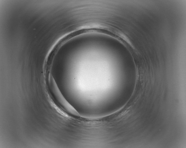 X0000055521116200508121036