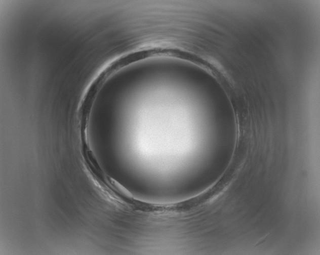X0000055521118200508121036