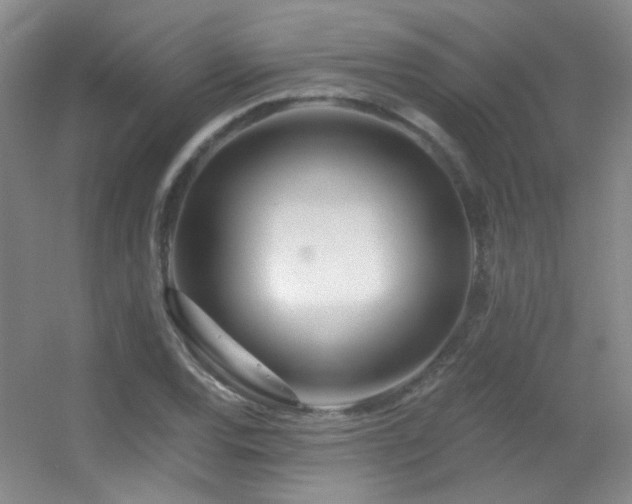 X0000055521120200508121036