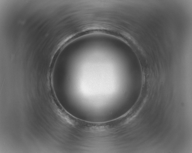 X0000055521121200508121036