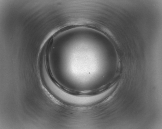 X0000055521122200508121036