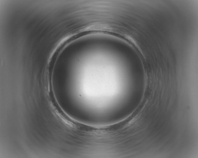 X0000055521123200508121036