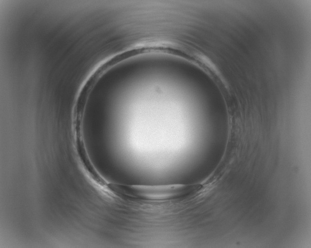 X0000055521124200508121036