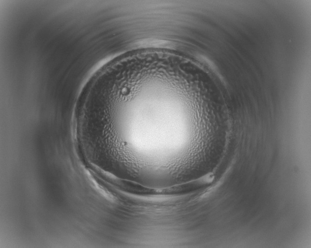 X0000055521125200508121036