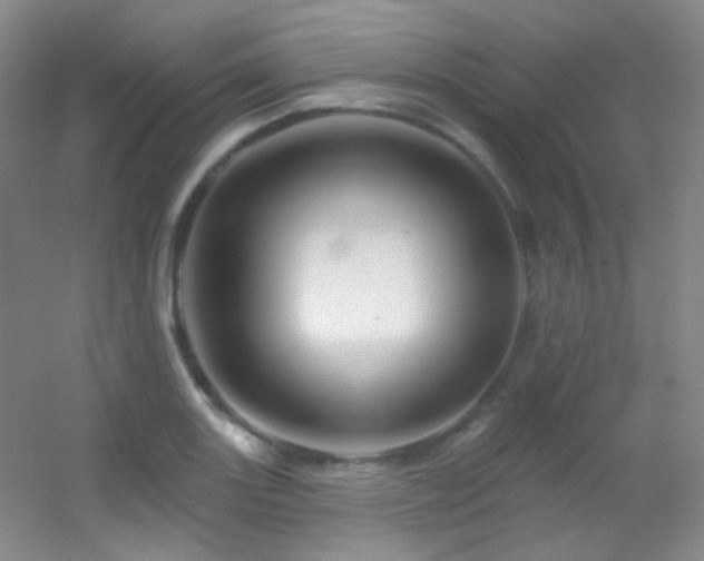 X0000055521131200508121036