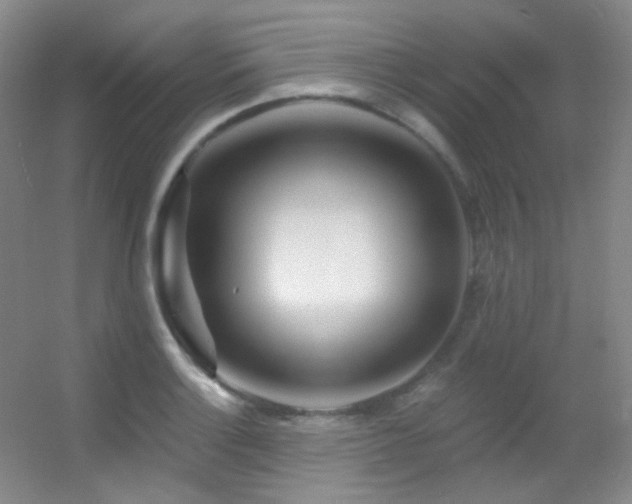 X0000055521132200508121036