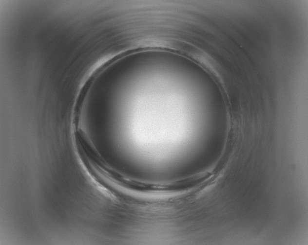 X0000055521133200508121036