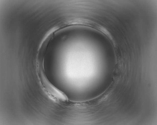 X0000055521138200508121036