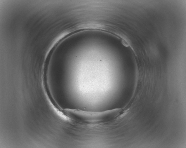 X0000055521139200508121036